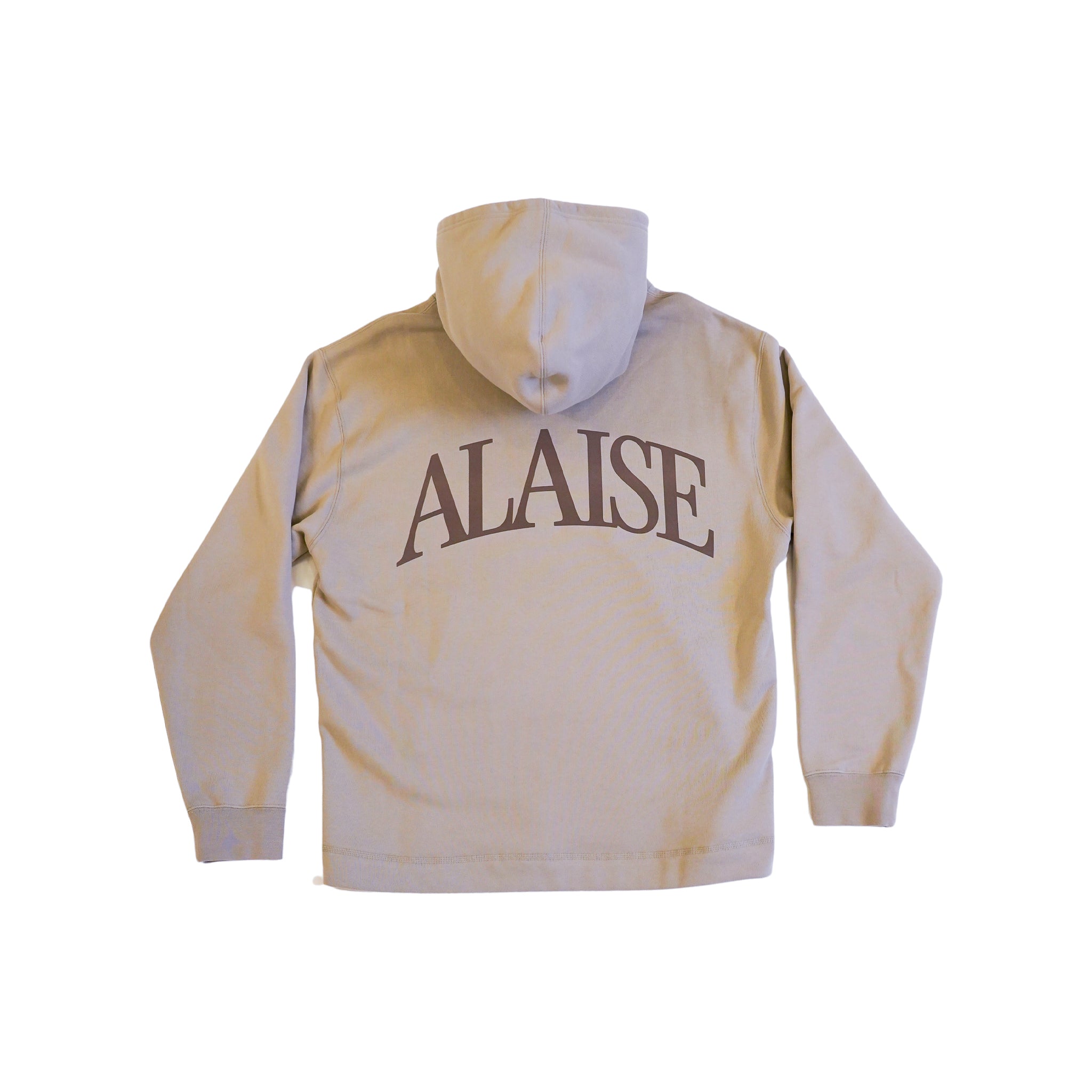 BOX-LOGO-HOODIE-BEIGE--2.jpg