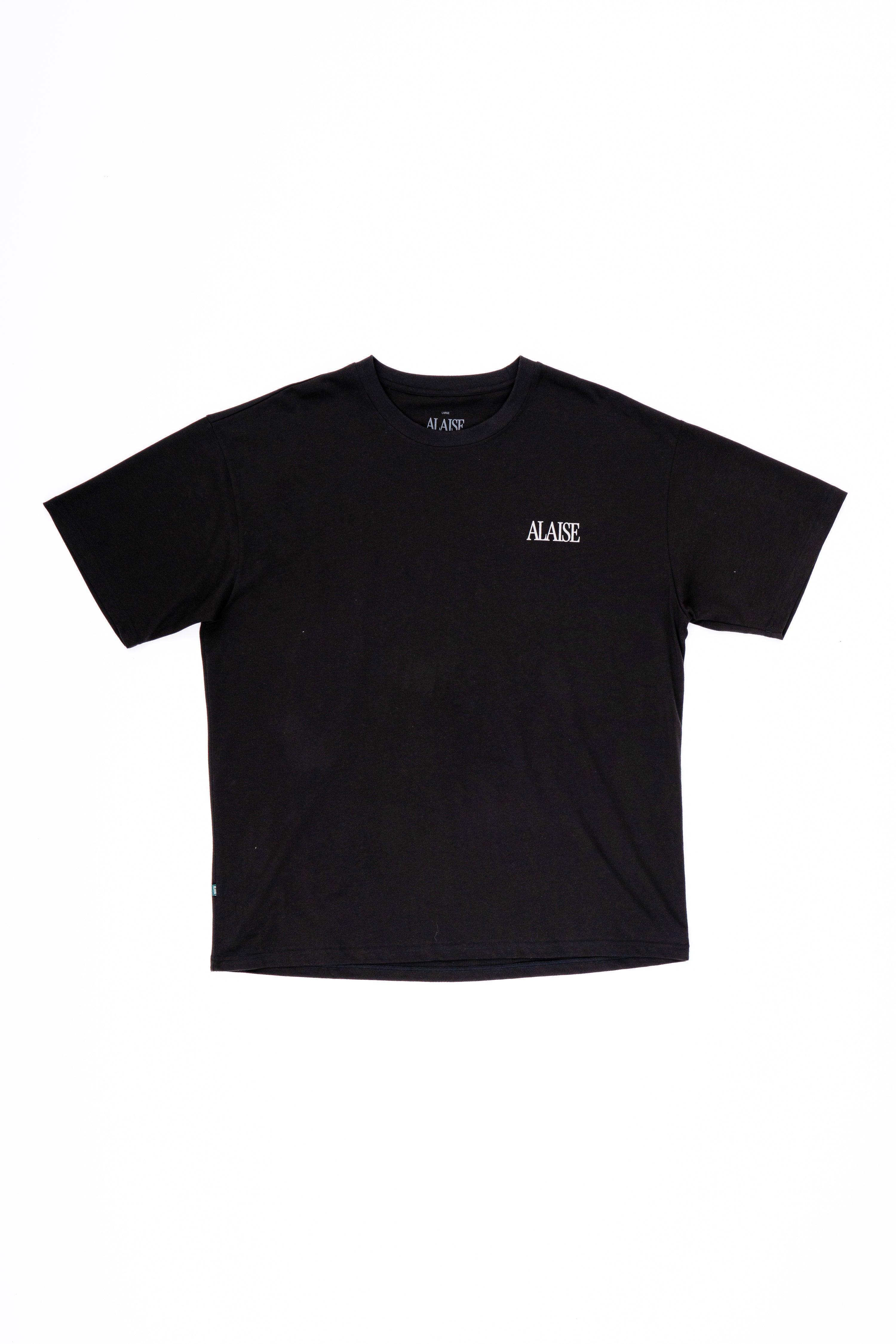 Rose Graphic Box Fit Tee in Black